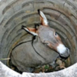 Meet your Posher, Jared